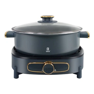 Electric Skillet Nrog Frying Pan